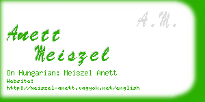 anett meiszel business card